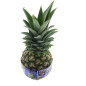BIO ANANAS ONE CENT FOR THE FUTURE EMBALL 9PCS